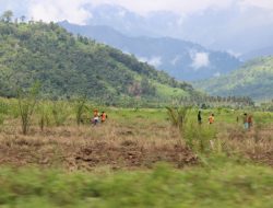 Dinas Perkebunan Sulut Pastikan HGU Kelapa Sawit PT KKI Legal