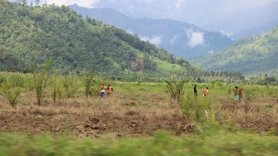 Dinas Perkebunan Sulut Pastikan HGU Kelapa Sawit PT KKI Legal