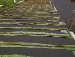 Rekor MURI Bakar Nasi Jaha Terpanjang di Tomohon Terkesan Pembohongan Publik!