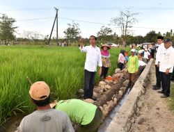 Presiden Tinjau Pelaksanaan Padat Karya Tunai di Sumbawa