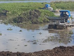 Berantas Eceng Gondok, Pemprov Sulut Turunkan Mesin Pembersih di Danau Tondano