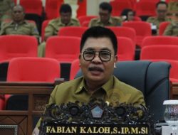 Penghapusan Tenaga Honorer, Fabian Kaloh : PPPK Jauh Lebih Baik Dari Honorer