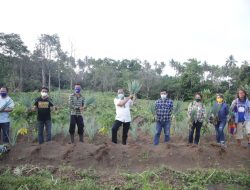 Walikota Bitung Max Lomban Panen Komoditas Unggulan Bersama Petani Milenial Kota Bitung