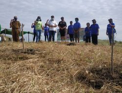 Peringati HKAN 2020, Walikota Maximiliaan Lomban dan Duta Yaki Indonesia Tanam Pohon di Taman Wisata Batu Angus