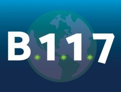 Temuan Dua Kasus Varian Virus Corona B117 di Indonesia, Satgas Perketat Pintu Masuk