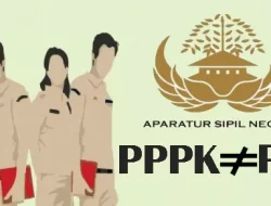 Ketahui Perbedaan ASN dan PPPK