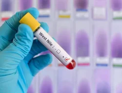 Virus West Nile Serang Israel, 542 Terinfeksi dan 36 Meninggal Dunia