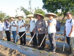 Kerjasama PGE dan FT UGM : Komitmen Pengembangan Potensi Panas Bumi Hasilkan Pupuk dan Booster Cair Geothermal ‘KATRILI’