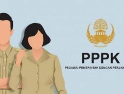 Pendaftaran PPPK 2024 Telah Dibuka, Simak Kriteria Persyaratan