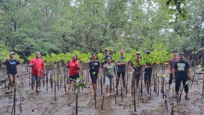 Justman Entjarau Pimpin IKA Polimdo Tanam 100 Bibit Mangrove di Bohowo