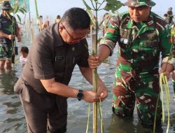 FOTO NEWS : Wakili Gubernur Sulut, Niklas Silangen Tanam Mangrove Bersama TNI di Desa Arakan Minsel