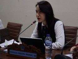 Program Ayam Terintegrasi Belum Masuk Sulut, Angelia Wenas Minta Distanak Aktif Koordinasi Dengan Pemerintah Pusat