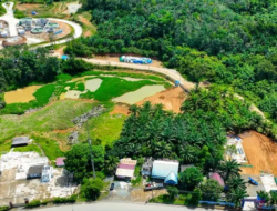 Otorita IKN Mulai Land Clearing Lahan 3,24 Hektare untuk Pembangunan Polresta Nusantara