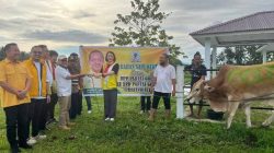 Pimpin Penyerahan Hewan Kurban, MEP Tegaskan Komitmen Golkar Sulut Hadir untuk Rakyat